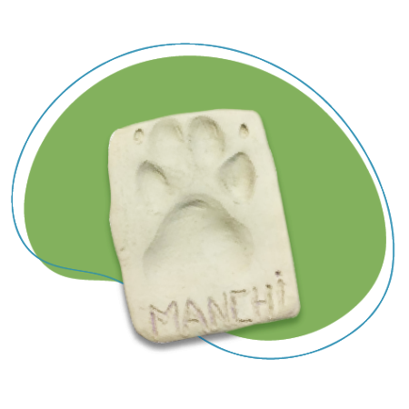 Cremacion de mascotas: Recuerdo conmemorativo de huella personalizada - Funeral Pets.