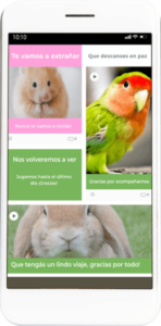Cremacion de mascotas: Muro virtual para expresar cariño y homenajear a tu compañero - Funeral Pets.