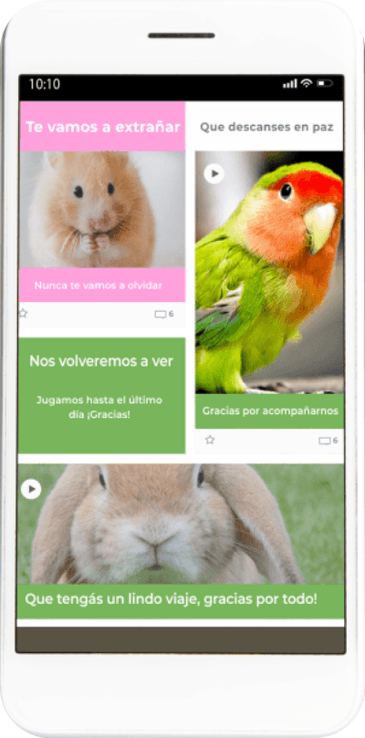 Cremacion de mascotas: Muro virtual para expresar cariño y homenajear a tu compañero - Funeral Pets.