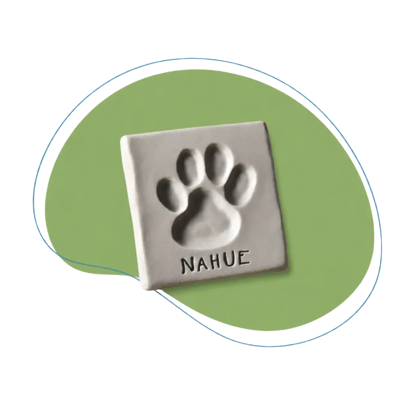 Huella de mascota grabada en arcilla con su nombre, recuerdo de homenaje de la cremación de mascotas de Funeral Pets