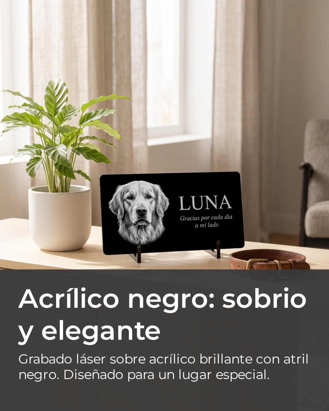 Placa conmemorativa en acrílico negro con foto de mascota grabada a láser, sobre una repisa