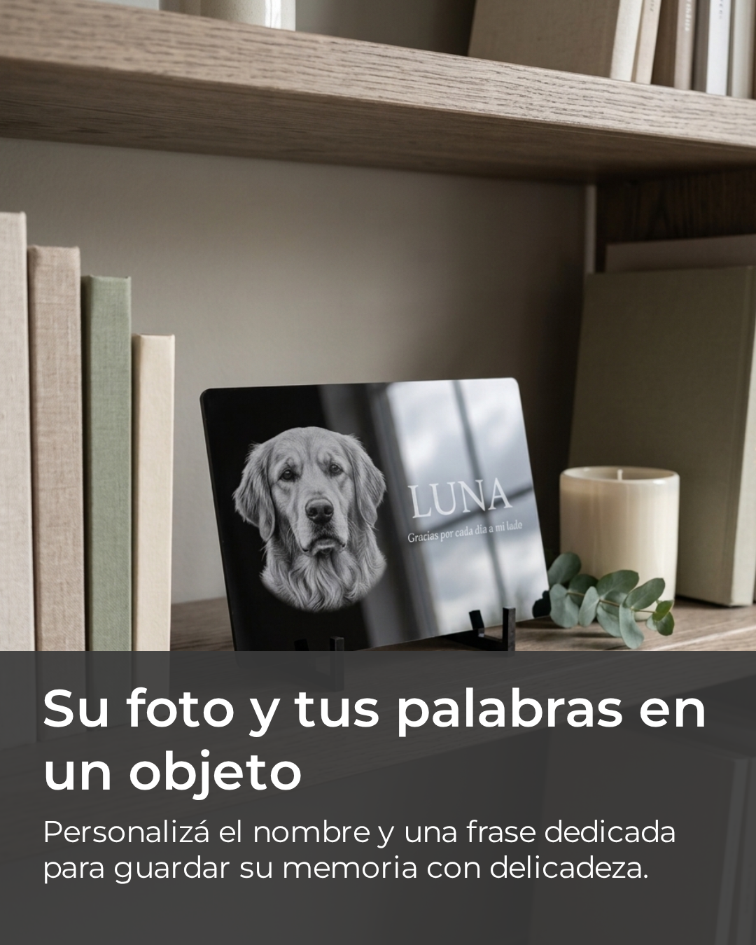 Placa conmemorativa en acrílico negro con la foto y el nombre de la mascota, en una biblioteca