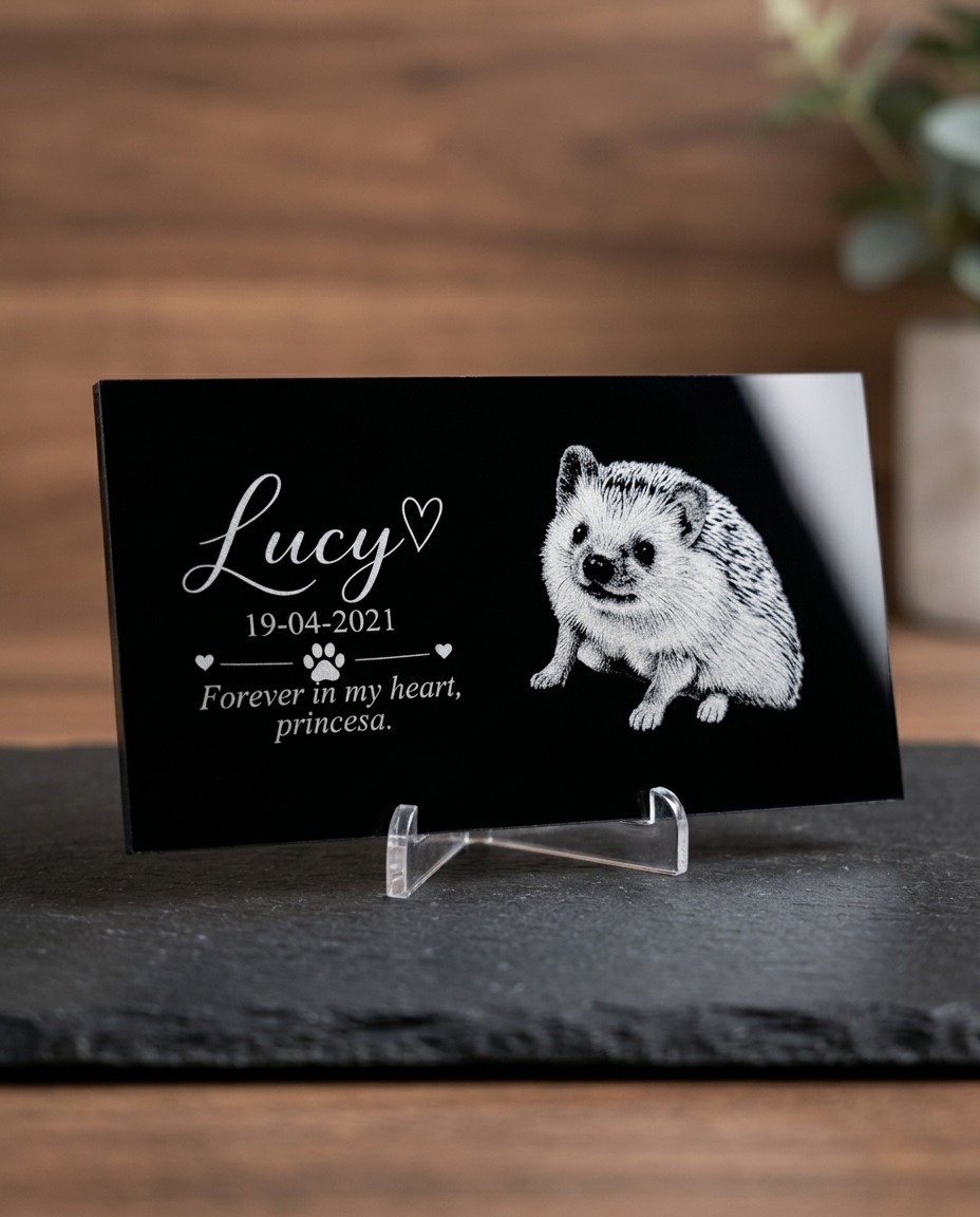 Placa Conmemorativa Personalizada para Mascotas - Imagen 9