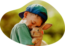 Cremacion de mascotas: Servicio Compinches para animales pequeños como conejos o hámsters - Funeral Pets.